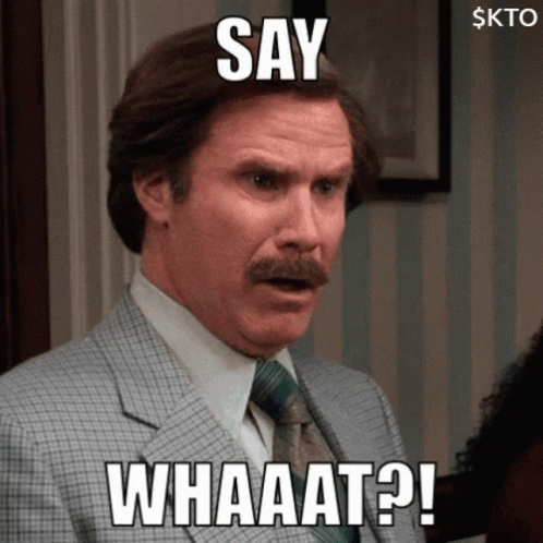 Ron Burgundy shocked at the cost of an SEO campaign